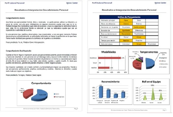 Imagen de un esquema de perfil laboral personal que otorga el equipo de Econvalor con el programa de liderazgo